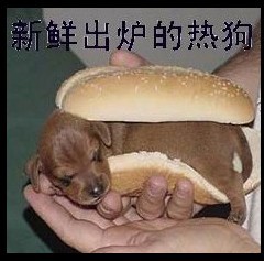 ͼƬ��������´��ڴ򿪲鿴