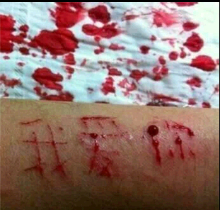 ͼƬ��������´��ڴ򿪲鿴